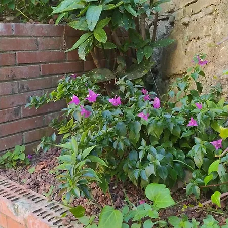 Casa Da Nonna Rita Holiday home *